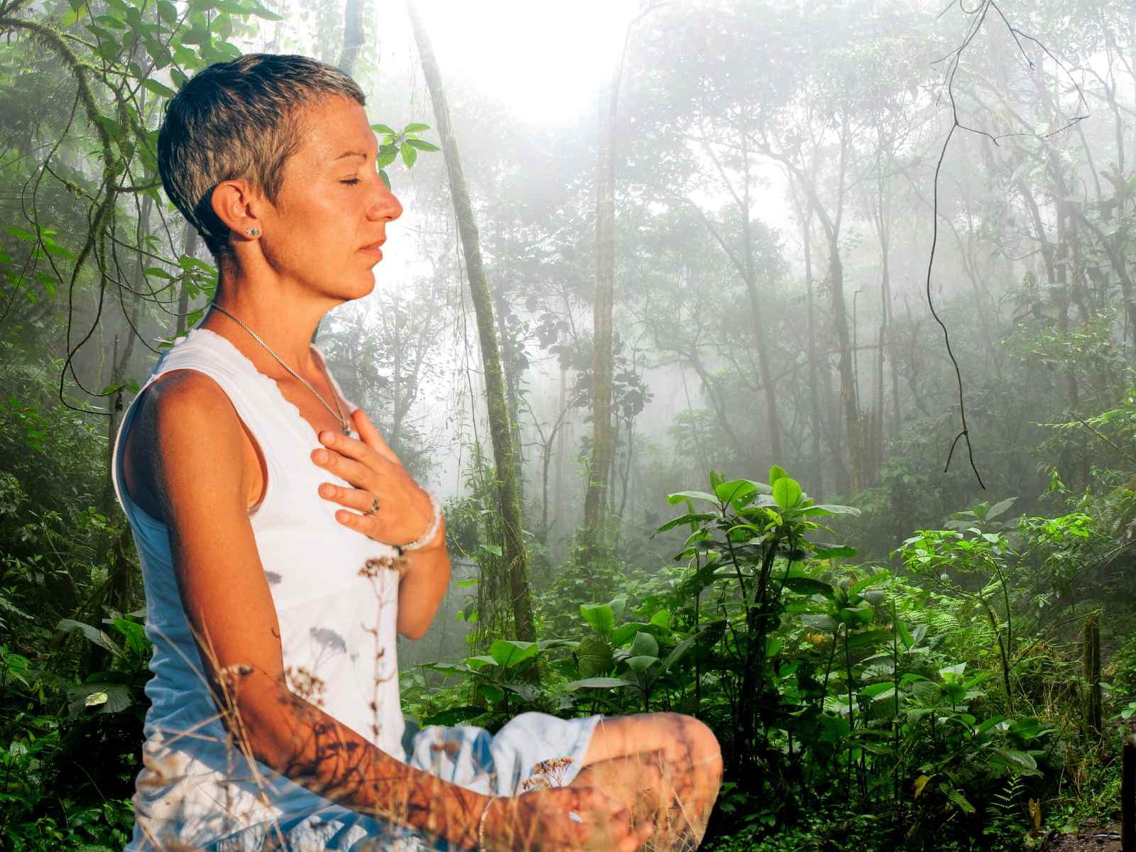 Natureza em Paz: Explorando as Serenas Florestas Tropicais e Parques Nacionais do Brasil